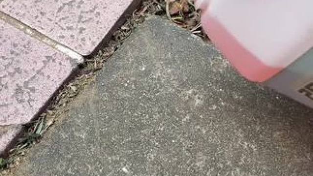 瓷砖强力清洁剂，解决反碱，发黑，发黄，铁锈等问题，厕所清洁的好帮手！