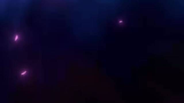 从你的视角看世界