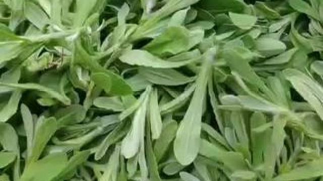 农村到处都是宝。