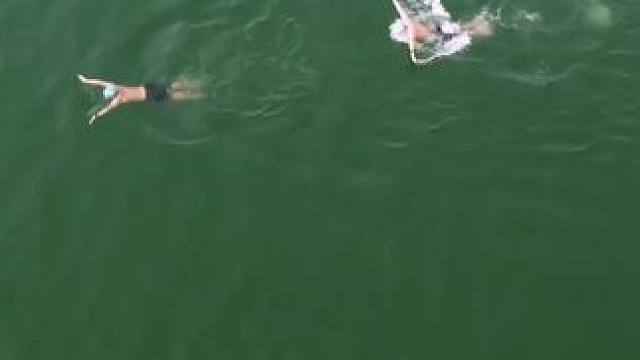 户外感觉蝶泳和蛙泳都差点意思，你们觉得哪个更丝滑！ #游泳打卡 #游泳我是认真的 #户外游泳 #蛙泳