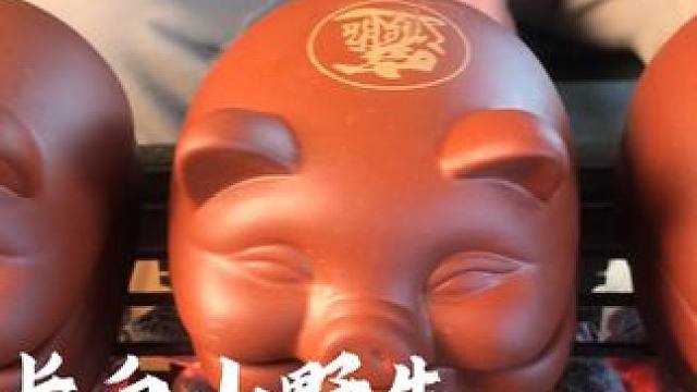 长白山野生核桃炭 高温碳化，不炸火，温度高火力猛，烧烤烤肉，围炉煮茶最好的选择#露营装备 #核桃炭 