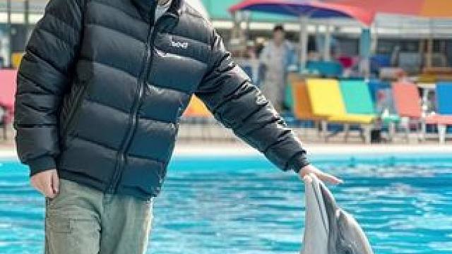 海洋馆和海豚合照～#交出你的随手对镜拍 #人类和海豚互动视频 #海洋馆