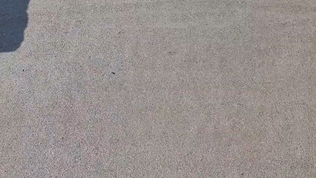 楼梯滚瓶子爆破解压时刻