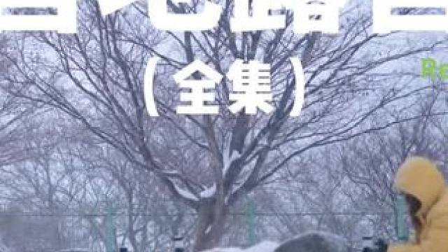 营地露营（全集）#露营 #助眠 #解压 #萌宠 #户外露营