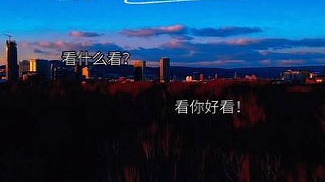 #江医生他怀了死对头的崽 #广播剧  江叙：世界如此美妙，我却如此暴躁，这样不好不好……