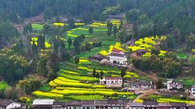 当年流行歌曲《真的好想你》火遍大江南北，如今你有多大啦！我先来！#乡愁记忆中的味道 #老歌回顾 #家