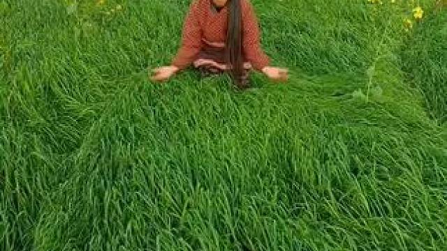 山卡卡里的农村大姐学费了开直播每天收获满满您还在恐播怕播不敢开播开播了不知说什么吗#记录真实生活 #