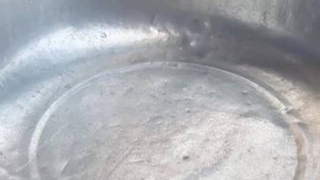 东南亚昆虫宴 #东南亚美食 #来自远山深处的生活 #记录我的农村美食生活 #夏天的味道 #户外捕鱼