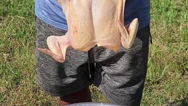 我要吃炸鸡 #东南亚美食 #我的农村生活 #我的乡野山居生活 #来自远山深处的生活 #田园生活