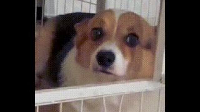 打电话告诉我公司！我已经心有所属了#带薪变美多小众的词汇