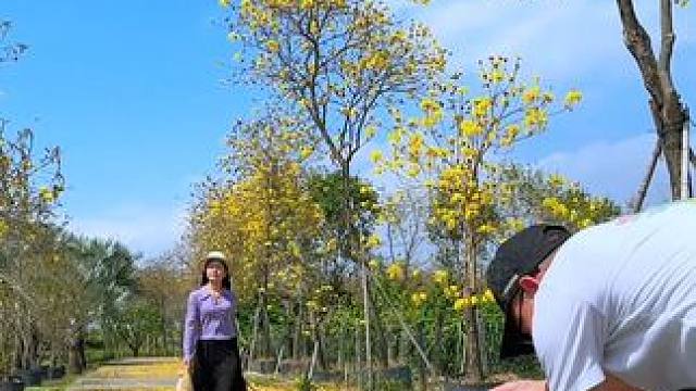 春游玩踏青看到漂亮的花间小路，试试这样运镜拍出唯美小短片 #手机摄影#把春天拍出电影感#运镜技巧  