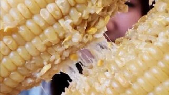 忍不了了！这个玉米必须先发！！！ #软糯香甜 #一吃一个不吱声 