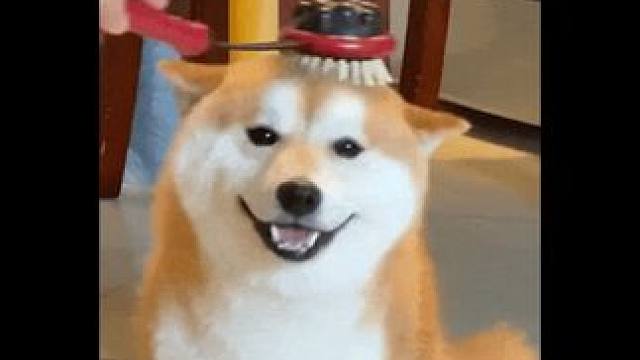 你说这个车含“爱”量很高？#周鸿祎回应是否继续抽车  #周鸿祎车含爱量很高  #红衣大叔他真给啊