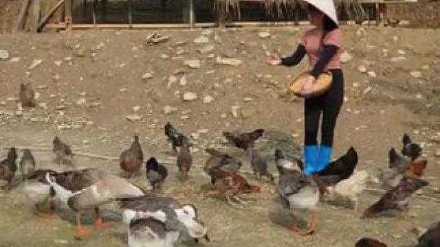 #乡下农村生活 #三农 #农村生活 #美女