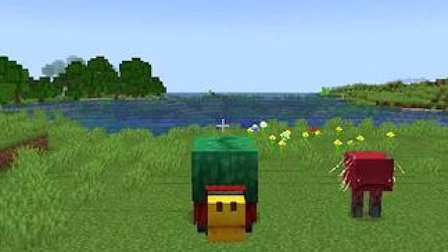 #我的世界 #Minecraft