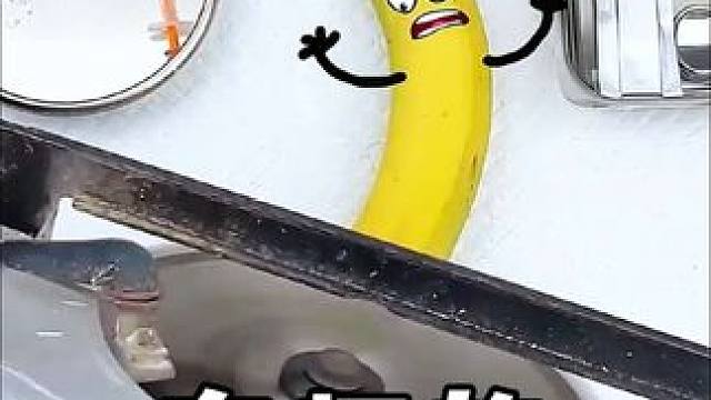 有趣的食物医生#有趣 #有趣视频 #创意 #搞笑