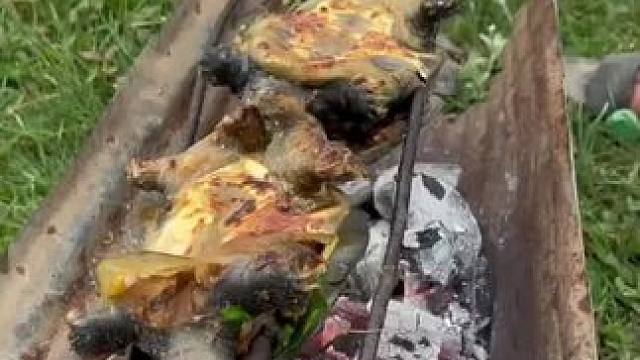 自行车烤甲鱼 #东南亚美食 #我的农村生活 #夏天的味道 #内容启发搜索 #萤火计划