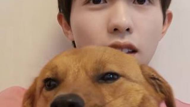 红包有什么错呢~要我说 扣他一块狗粮得了#李昊红包爱意的具象化 #李昊 #陈少熙 #红包