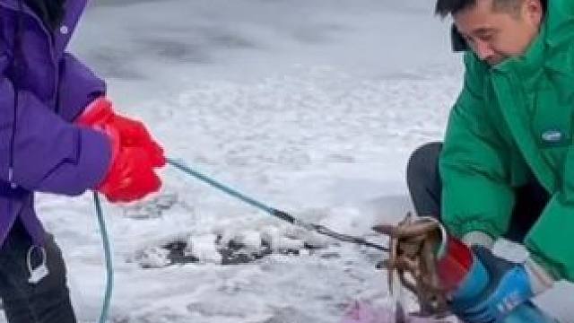 #户外捕鱼 #好多鱼