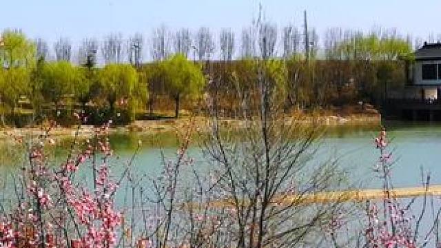 #满屏春天愿你一路繁花相伴 ！