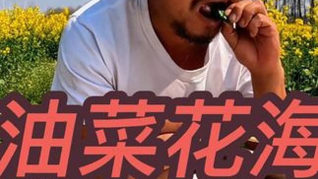 沙和尚出赣入皖，在池州市长江边，油菜花里干晚餐#穷游