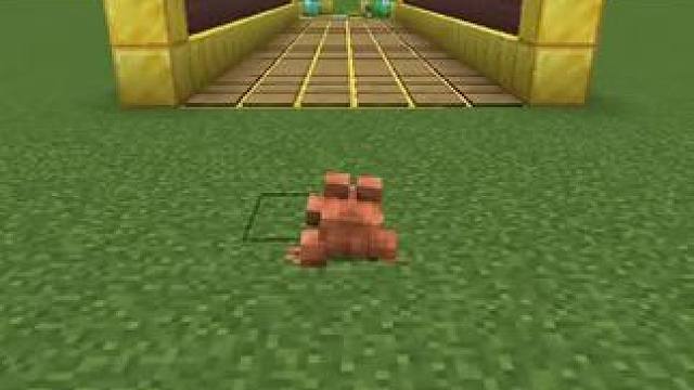 #我的世界 #Minecraft