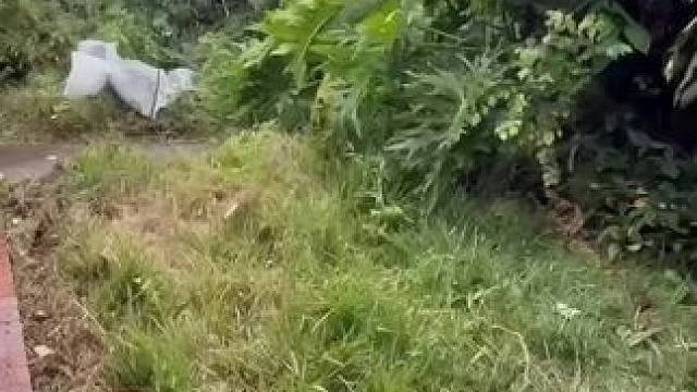 我发布了一个新视频，快来围观吧！