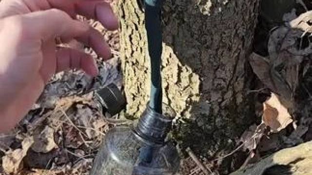 户外应急时取水的另一技巧 #露营报告 #露营技巧报告