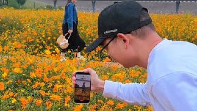 见到花海试试这样拍 ，简单易学又出片#手机运镜 #春天当然要拍花啦 #花海 #又到了赏花拍照的季节