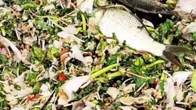 越南鱼生 #农村美食记录生活 #我的乡村美食 #原始美味 #越南鱼生#越南美食