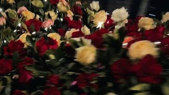 除却巫山不是云#寒星星家的vlog