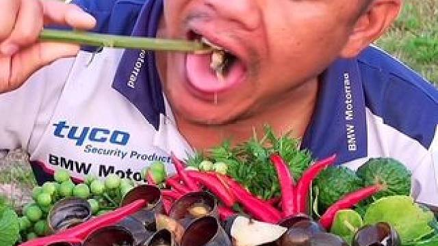 酸辣料汁️新鲜大肥螺 #美食 #泰国美食 #户外美食 #内容启发搜索