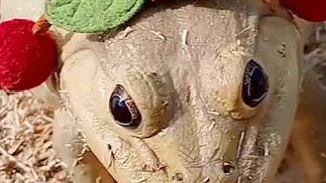 真可爱☺️ #美食 #泰国美食 #户外美食 #内容启发搜索