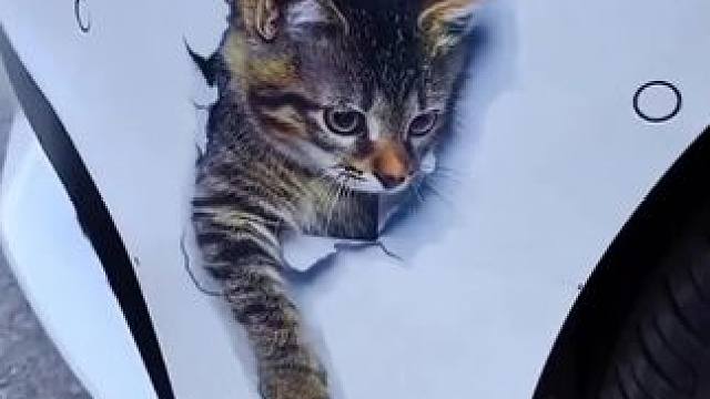 #上热门开车难免有刮蹭，这款很哇塞！3D立体猫咪车贴，小划痕一贴，既美观又可以遮挡划痕，焕然一新#车