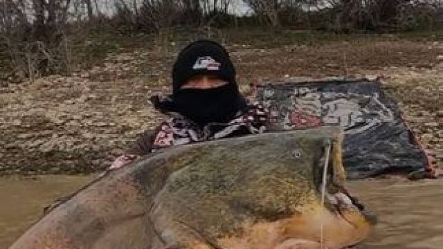 鲶鱼成精了 #国外视频分享 #好大一条鱼 #钓鱼的乐趣只有钓鱼人懂