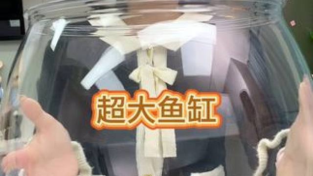 鱼缸加厚防摔耐摔 快快快！一辈子都摔不坏的桌面生态大鱼缸，加厚pp材质！品质嘎嘎好！颜值还贼高！#桌