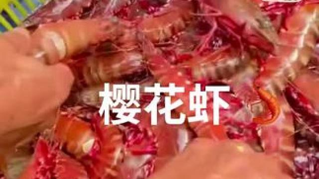 樱花虾，你一定没吃过的海鲜美食，不仅蛋白质含量高虾肉细腻鲜美 #热点 #海鲜美食 #妈呀太香了 #美