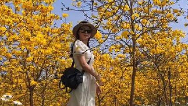 9.9金色春谷第一波预售票来啦，视频都是去年现场实拍#治愈系风景 #春暖花开奔你而来 #一起去春游 