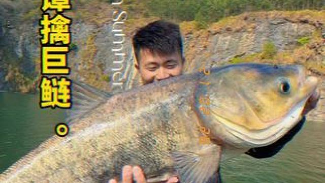 #春天就要去钓大鱼 #钓鱼的乐趣只有钓鱼人懂
