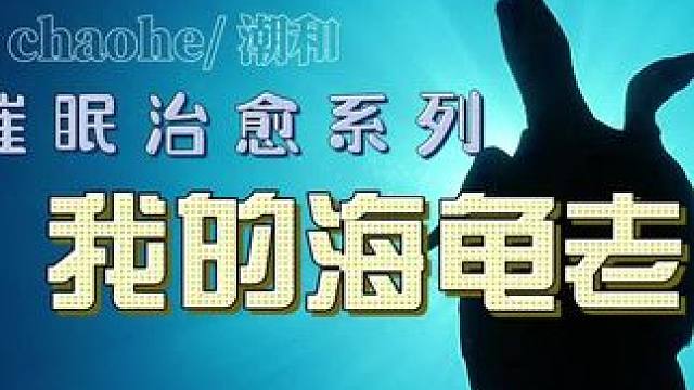 我的海龟老师告诉我：时间不会等你，但可以陪你！#治愈系 #水下拍摄 #原创 #音乐治愈