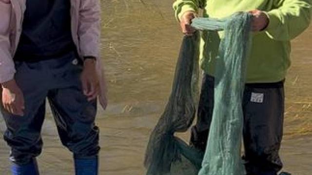 #户外捕鱼 #好多鱼