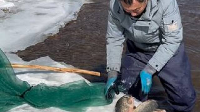 #户外捕鱼 #好多鱼