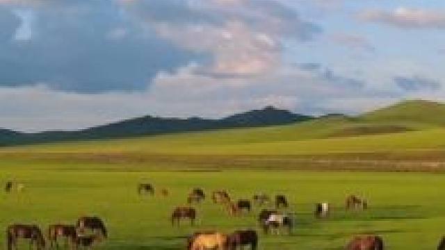 “说不出的心事 就留在草原吧”#治愈系风景