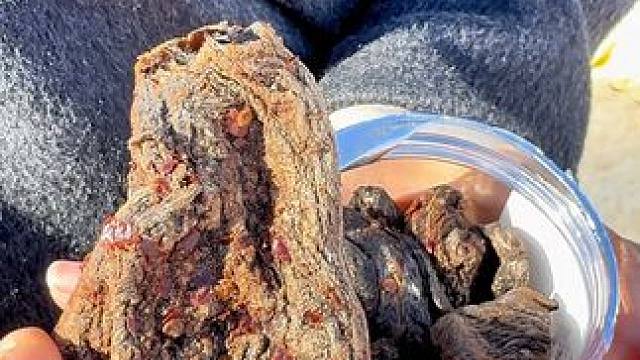 #把生活调回春天频道 #我为家乡代言 #家乡的味道