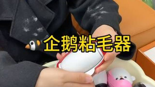 神奇的粘毛器 神奇的粘毛器!不仅能轻松清理头发和猫猫狗狗掉落的毛发，水一冲就干净能继续用了 #粘毛神