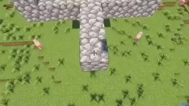 #我的世界 #Minecraft