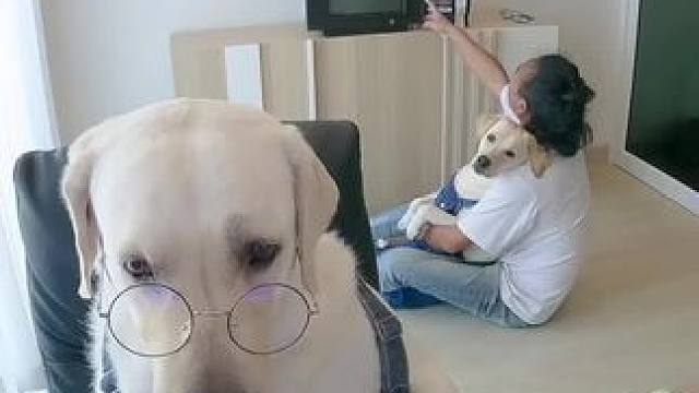 我发布了一个新视频，快来围观吧！