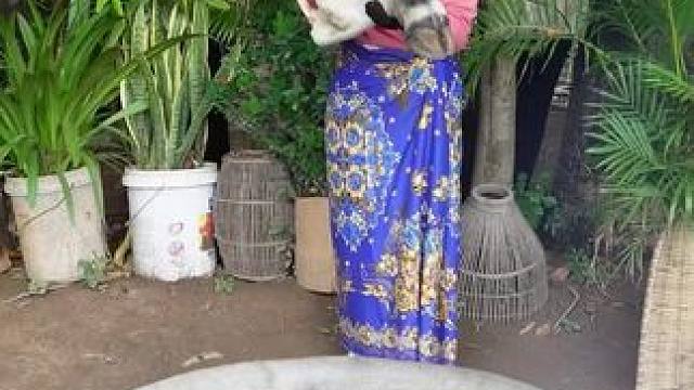 东南亚特色美食 #东南亚美食 #春天的味道 #内容启发搜索#萤火计划