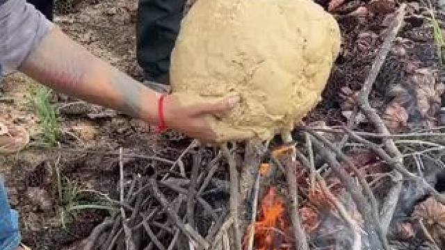 烤鸡 #农村美食记录生活 #我的农村生活 #我的乡野山居生活 #舌尖上的美食 #夏天的味道