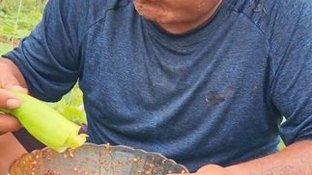 东南亚大叔来了 #夏天的味道 #舌尖上的美食 #内容启发搜索 #萤火计划 #这个世界会好的